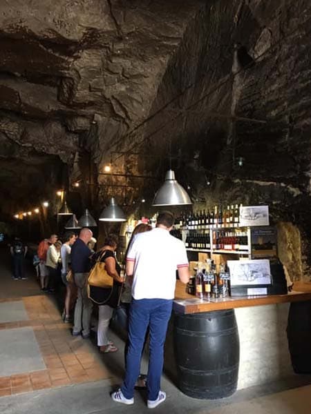 Cave Monplaisir - Dégustation de vins de Chinon