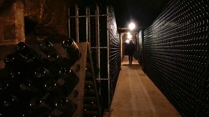 Domaine Vigneau-Chevreau - AOC vouvray - Chançay