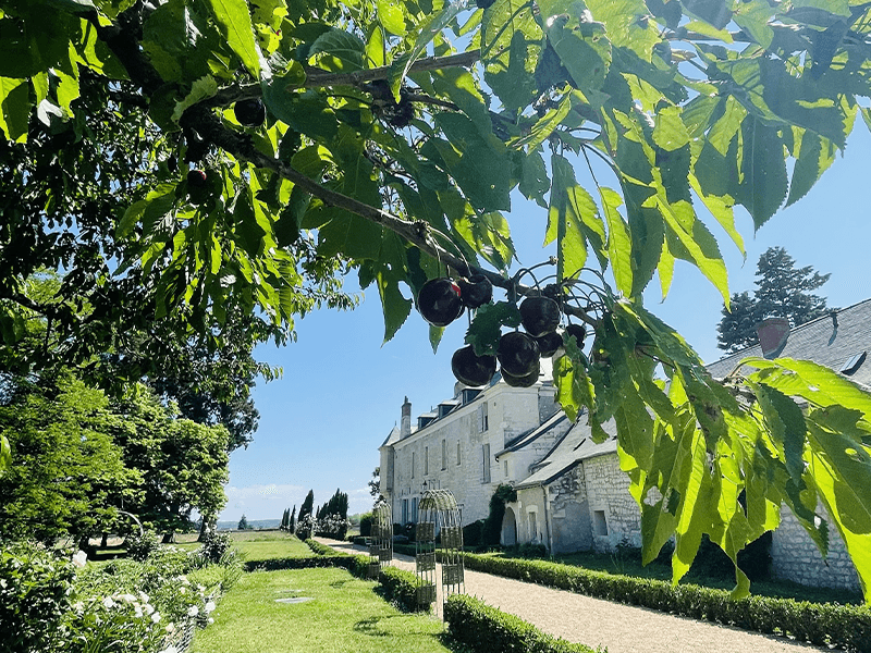 chateaudeminière_gîtes