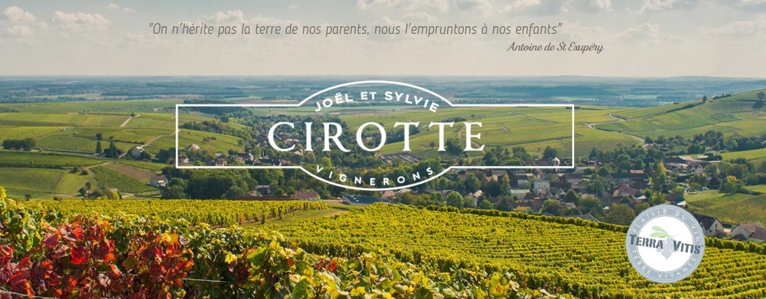cirotte