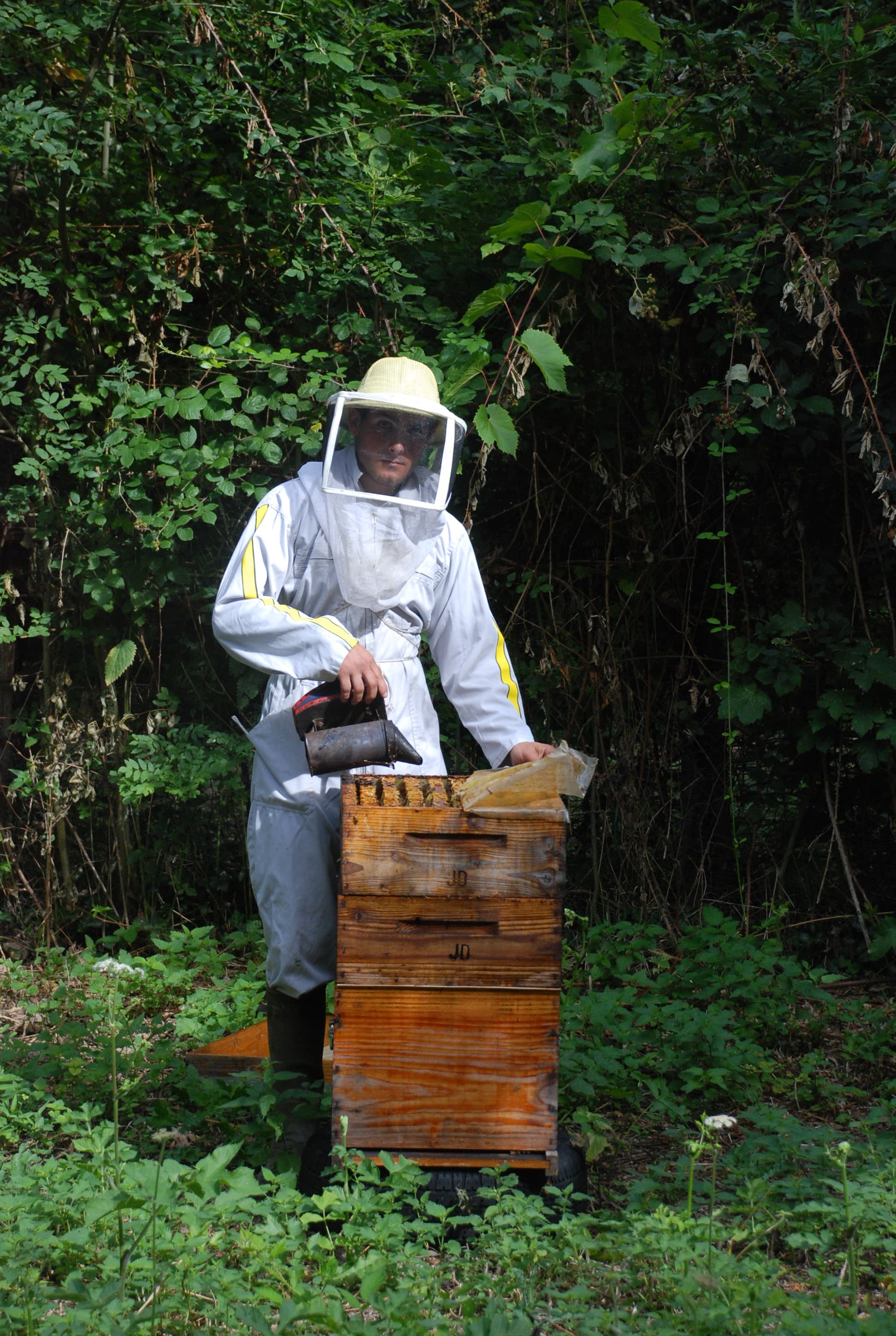 Ferme apicole du Gâtinais