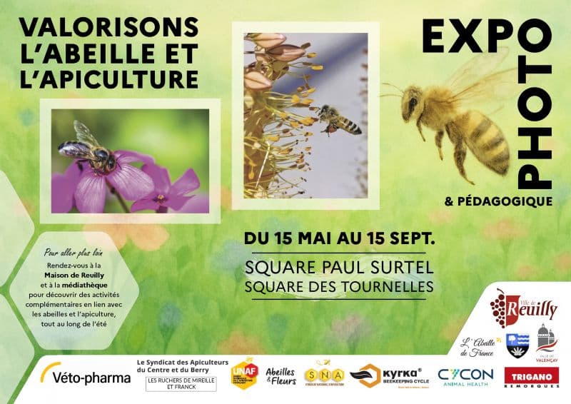Exposition photo sur les abeilles et l'apiculture(1)