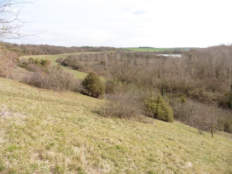Pelouses et marais de Roussy