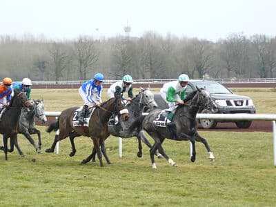 courses-hip-Lig-2-opt