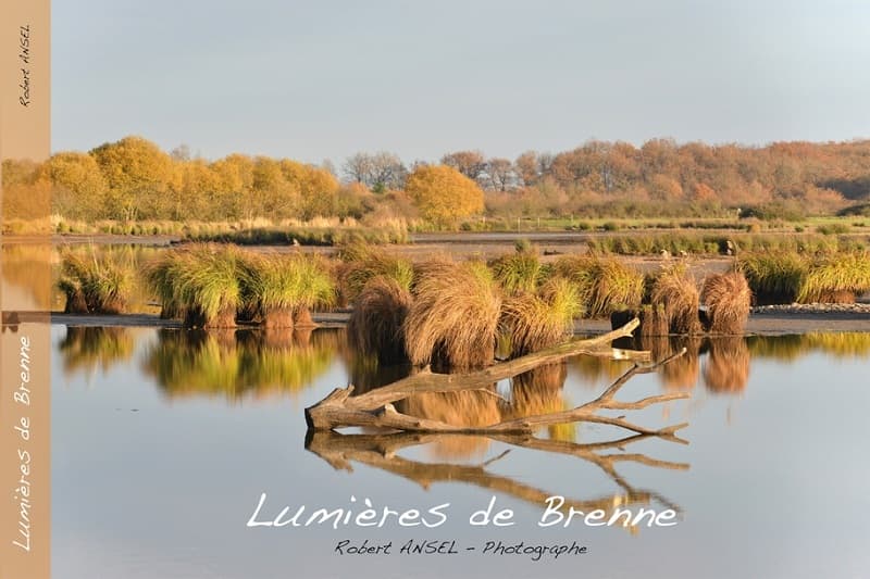 Lumières de Brenne