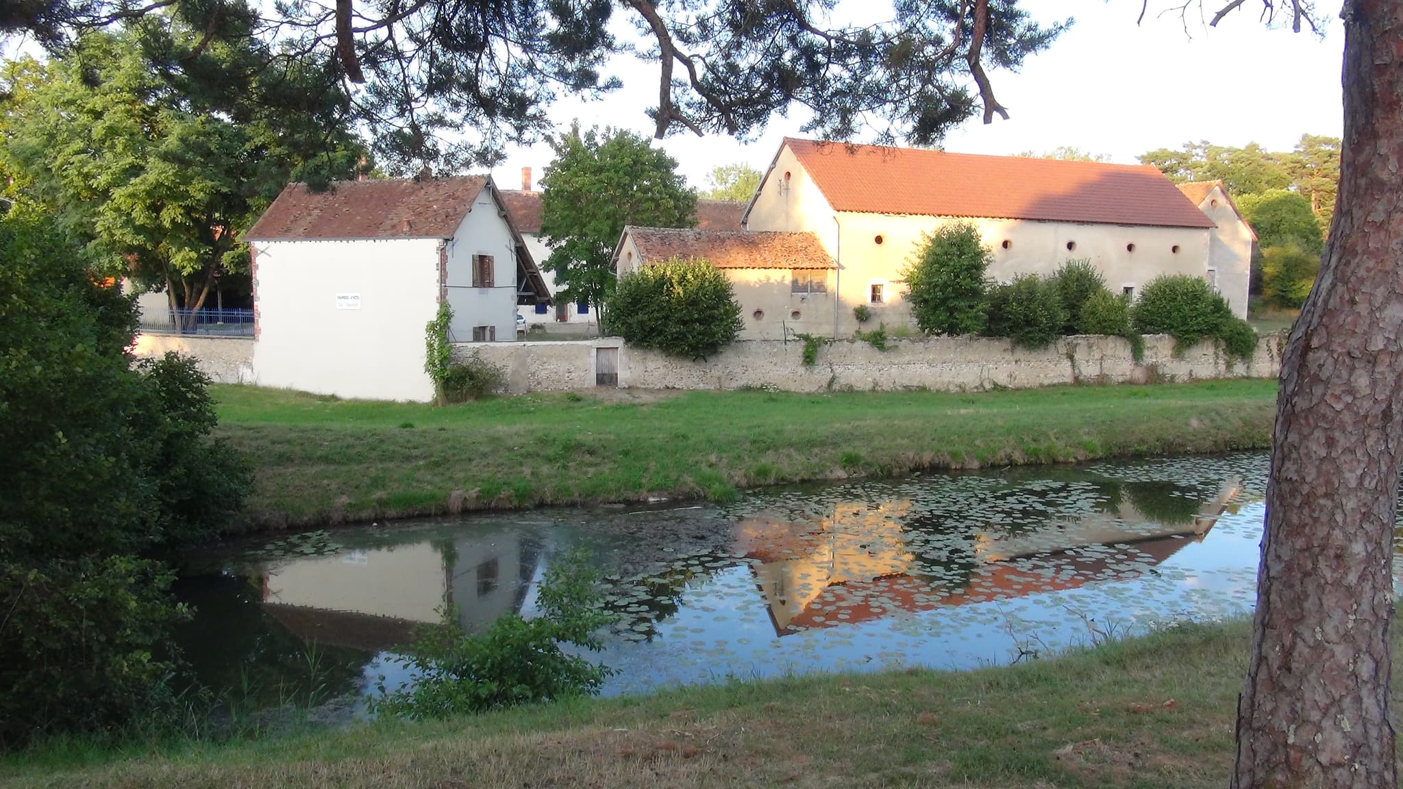 Briare - Gite l'Orée du bois -depuis le canal