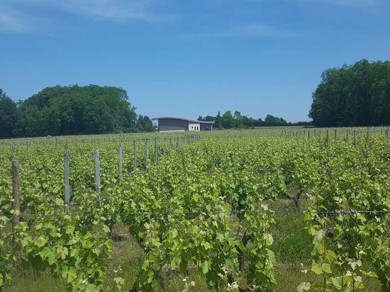 DIVIN LOIRE