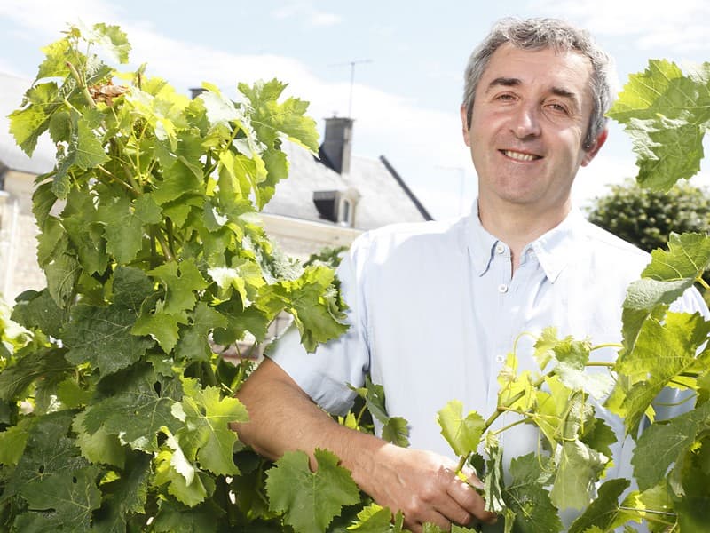 Domaine de la Chanteleuserie - Thierry Boucard