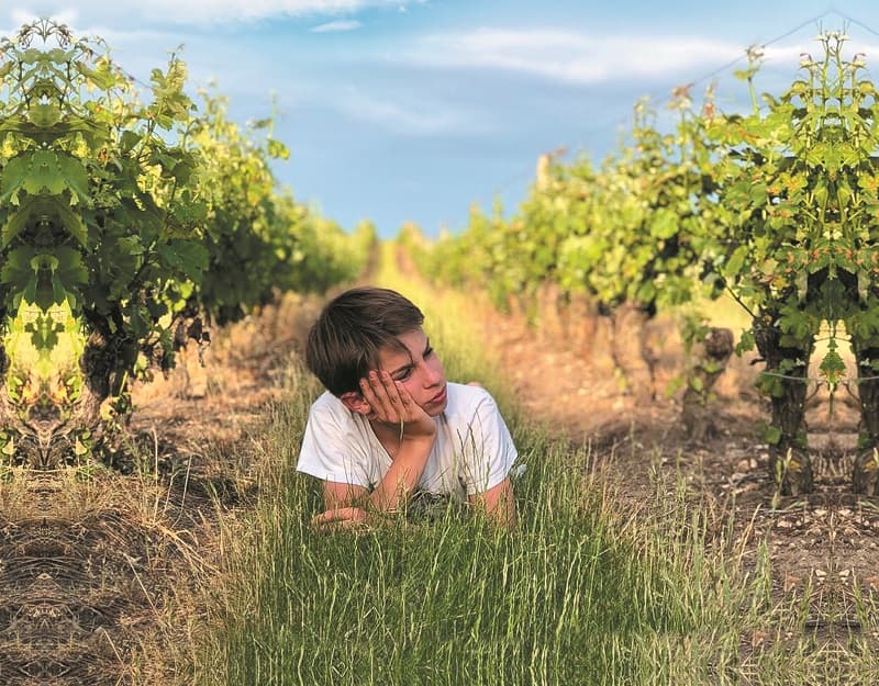 domaine-de-la-renne