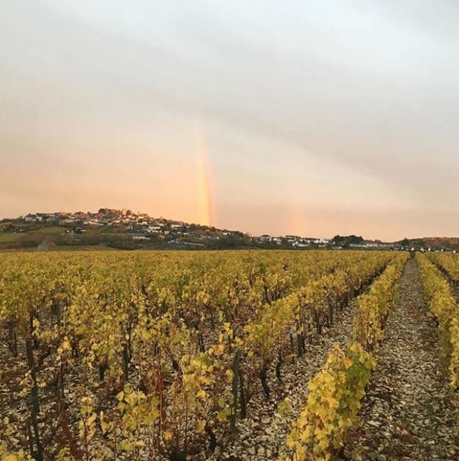 domaine-fouassier