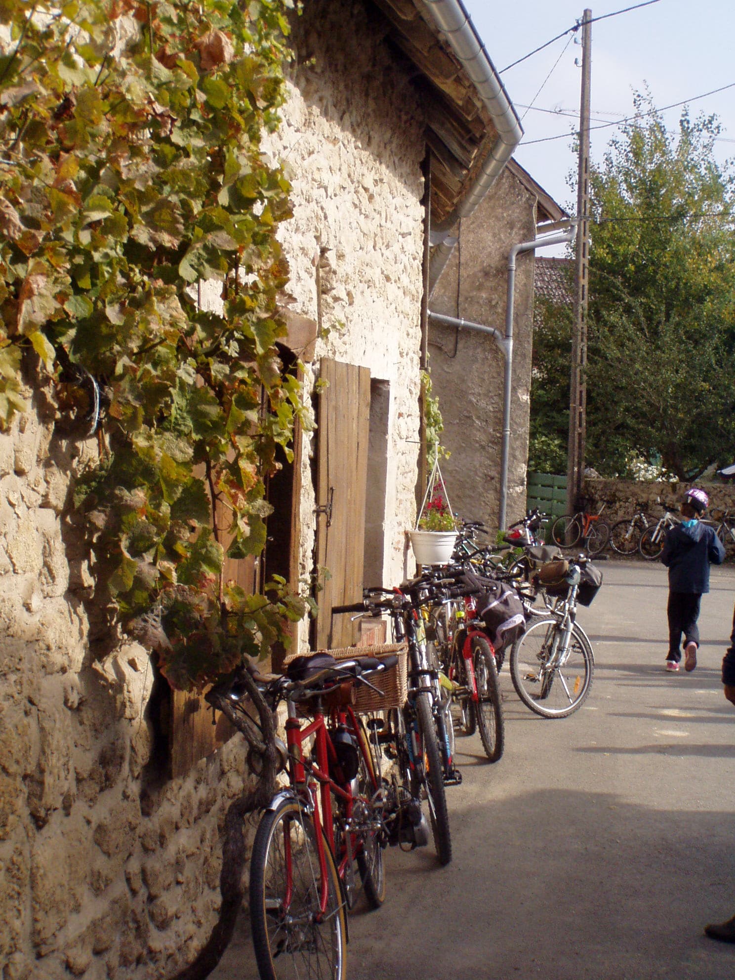 Beaulieu sur Loire - Domaine Guérot - extérieur