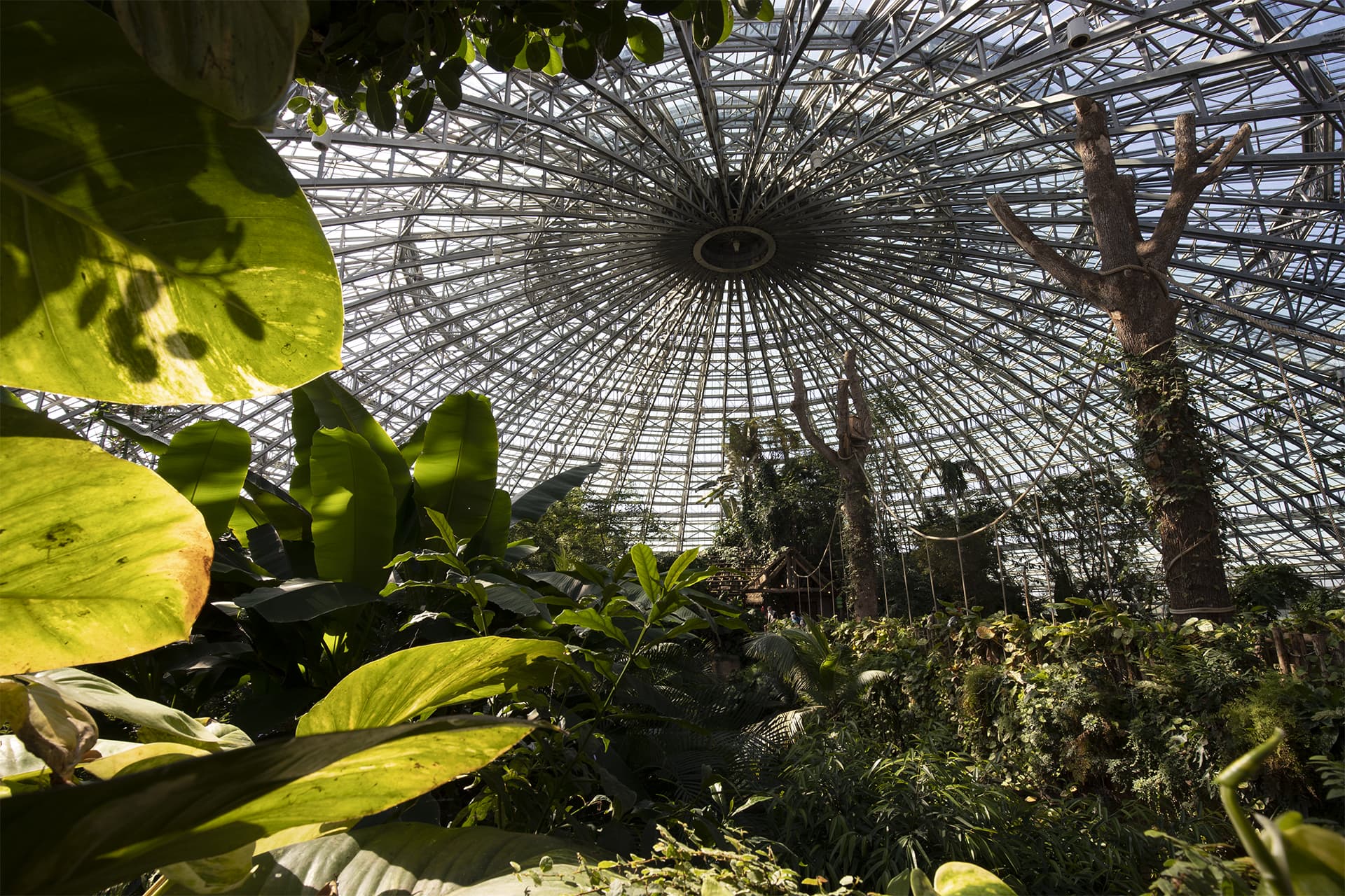 dome_interieur_01