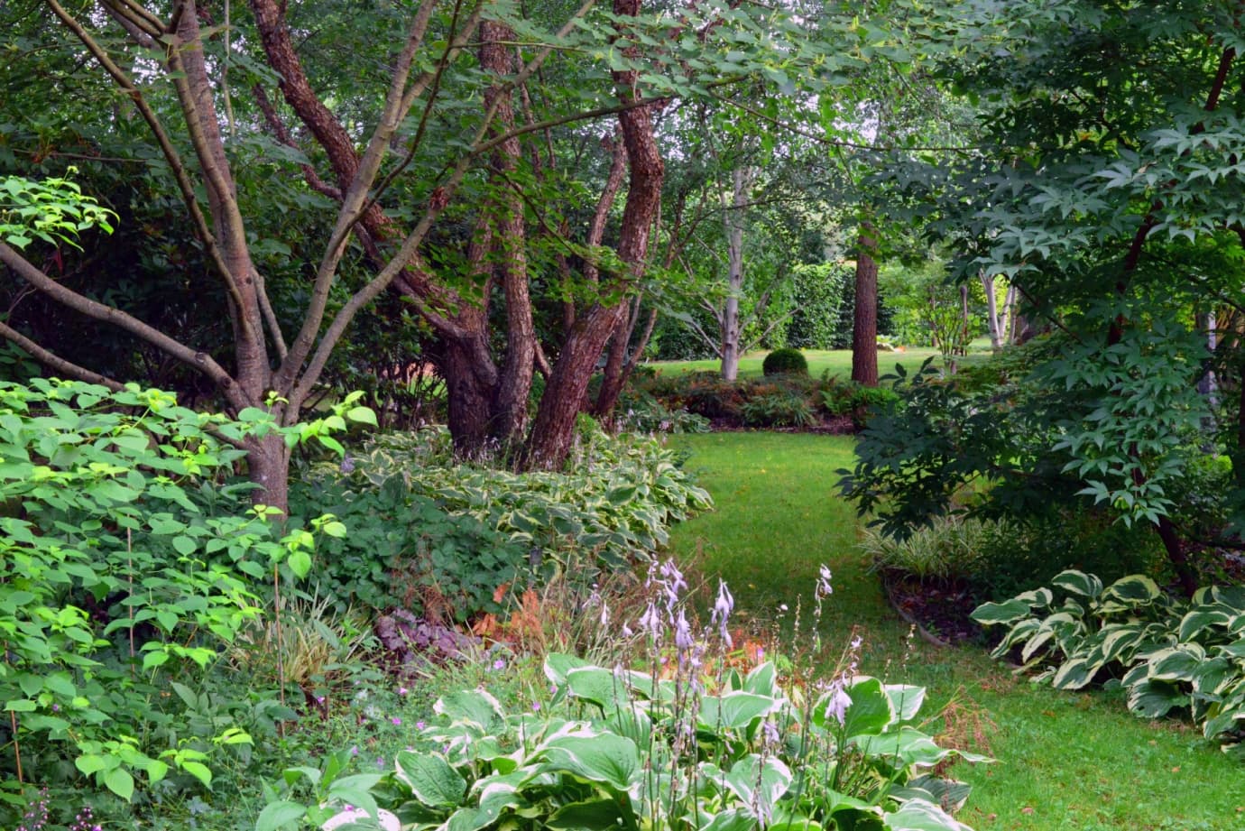 Visites des jardins de Jean-Pierre COFFE