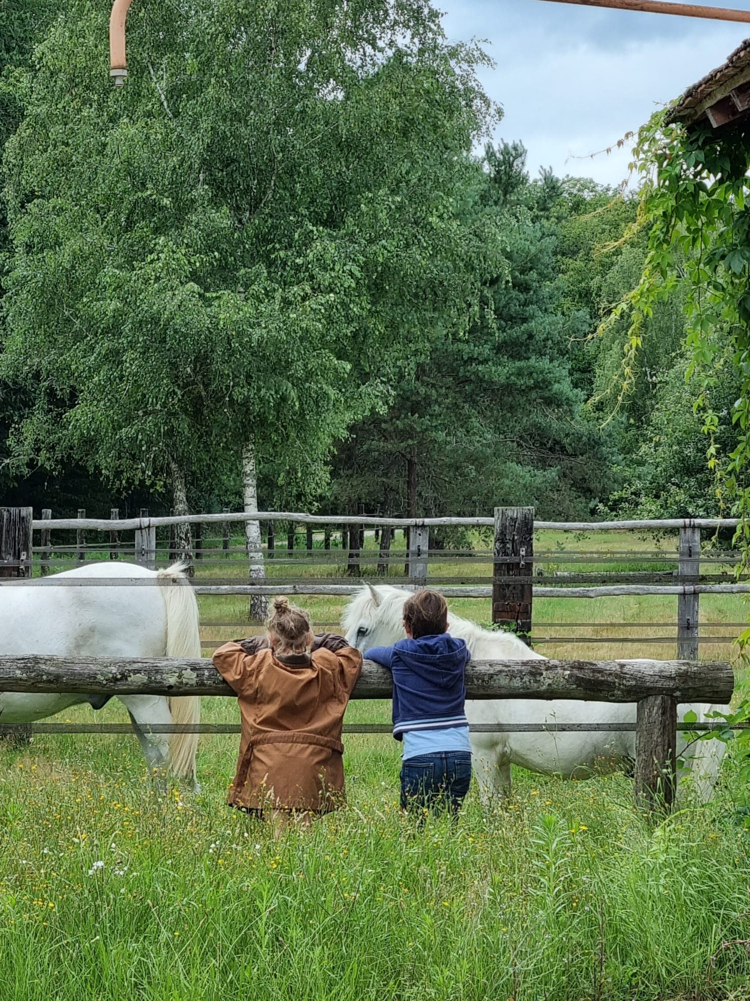 enfants et poneys