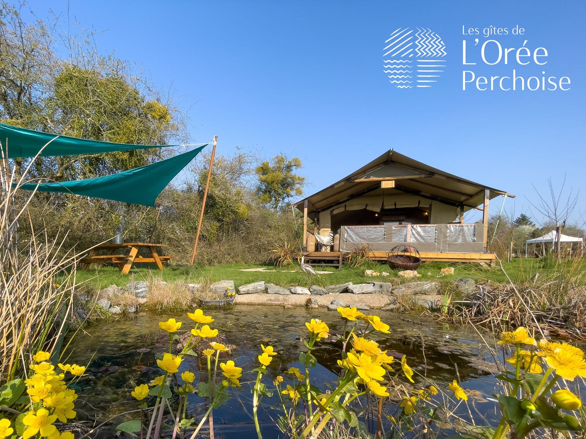 environnement lodge2022