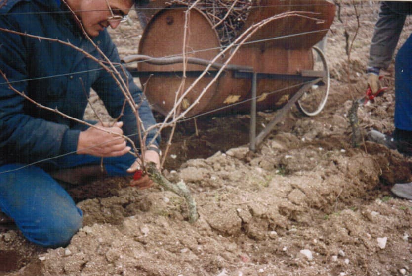 éric raffinat