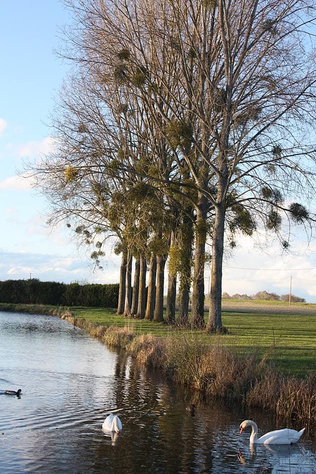 Adon - Etang communal - etang 3