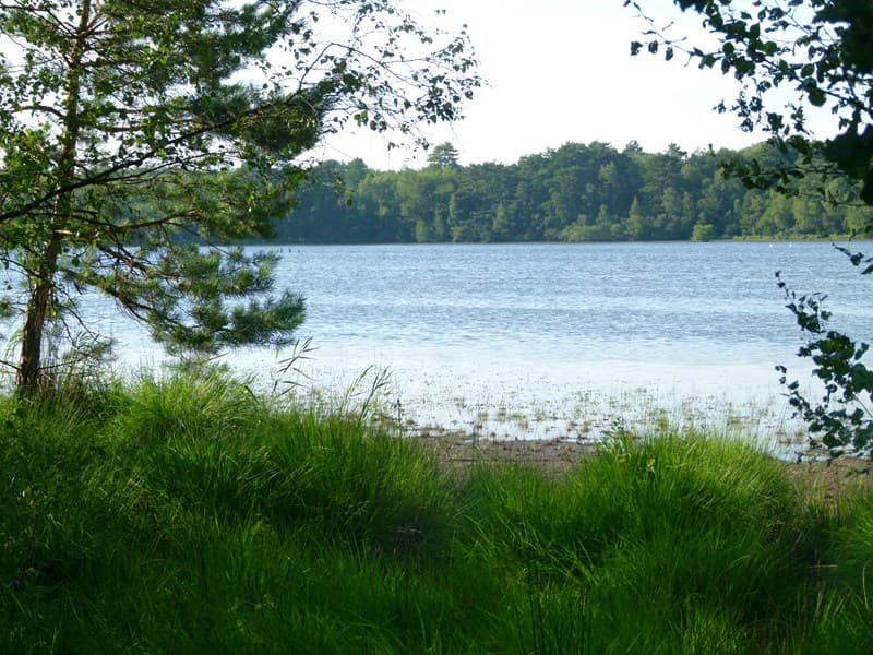 etang_des_levrys_nouan_4