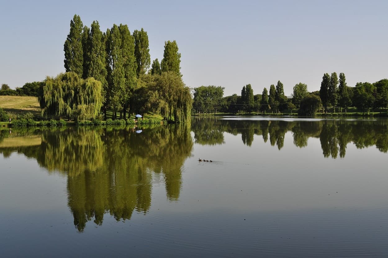 etang-st-martin