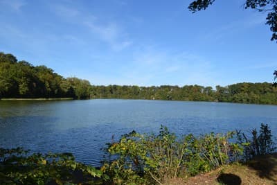 Domaine de Boisvinet