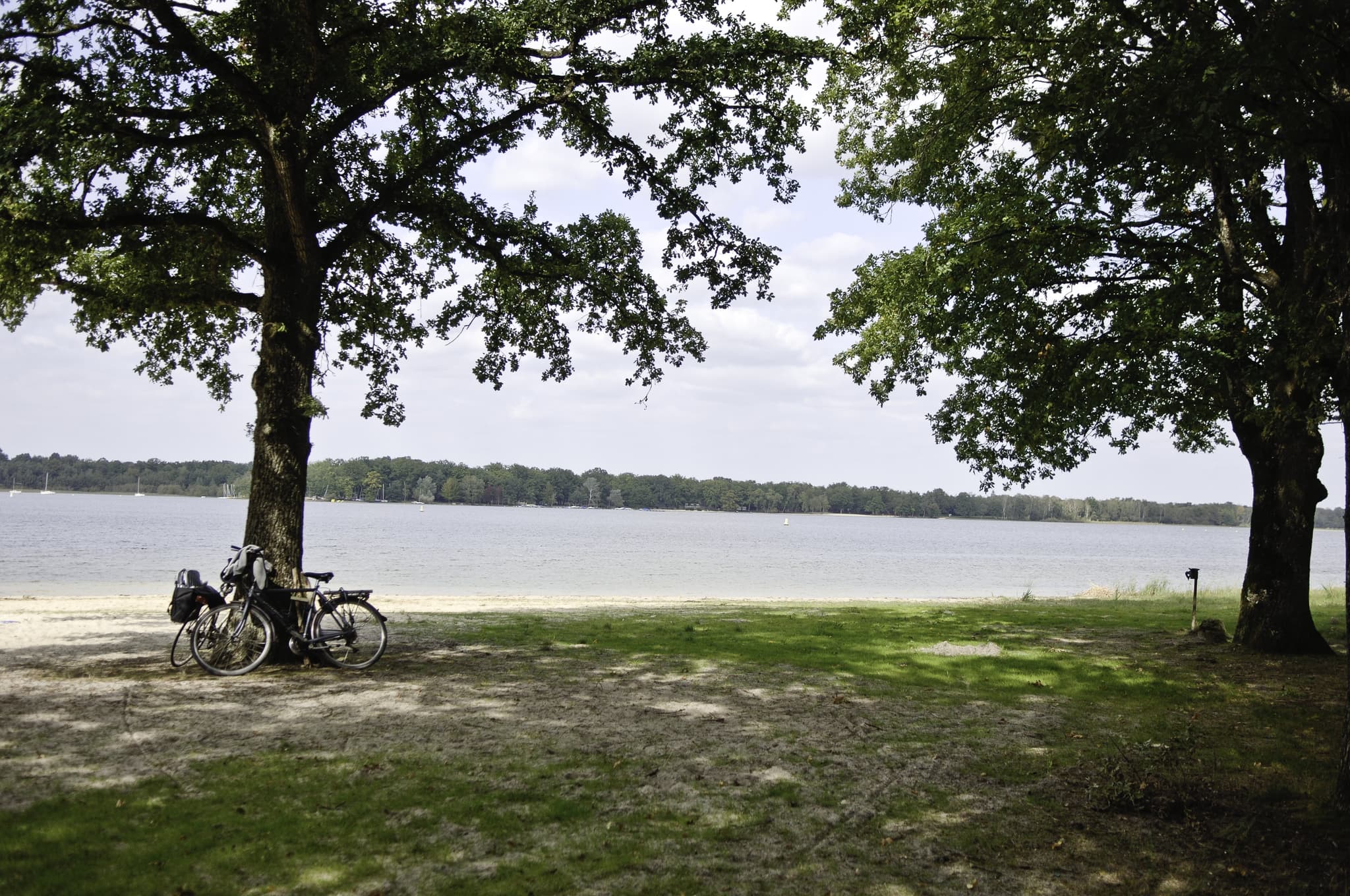 Etang du puits
