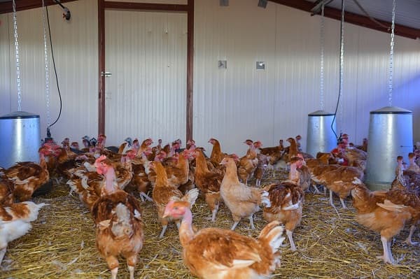 ferme de feuille lune-2