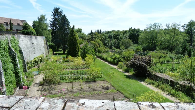 Jardin