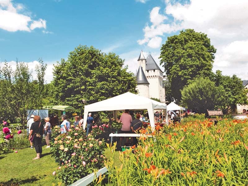 Fête des roses du château du Rivau