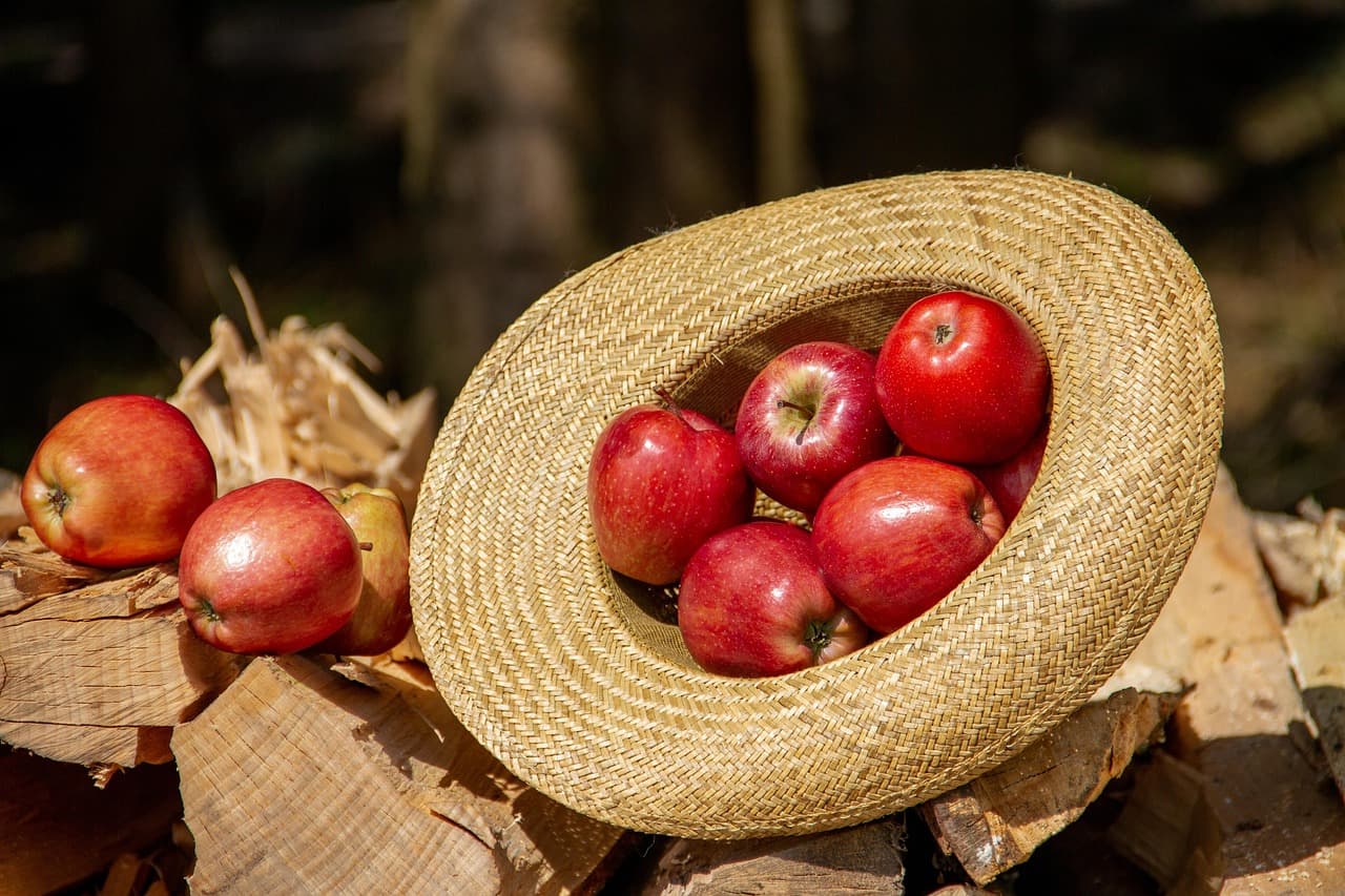fête pomme