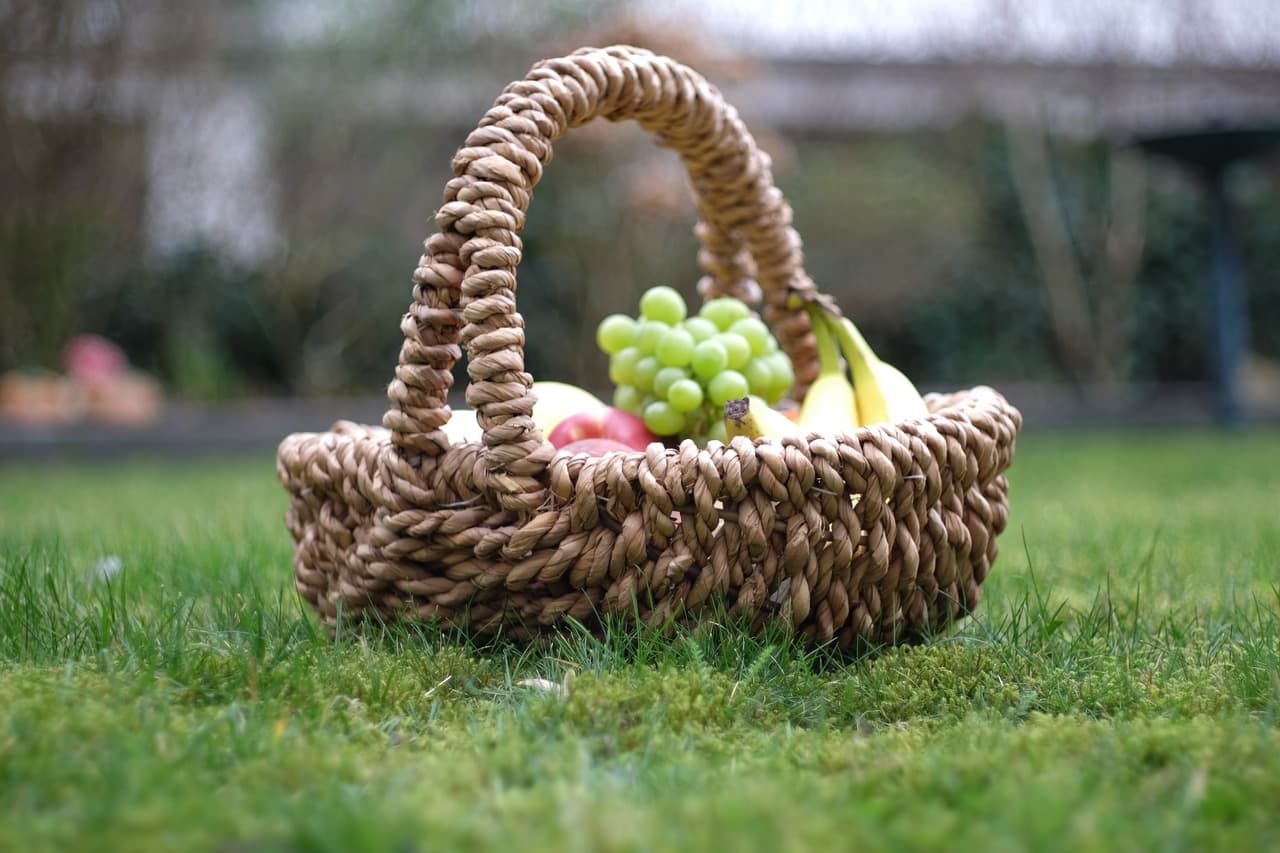 garden-2124757-1280