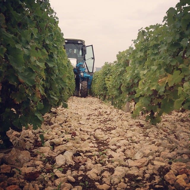 Le domaine Georges Millerioux