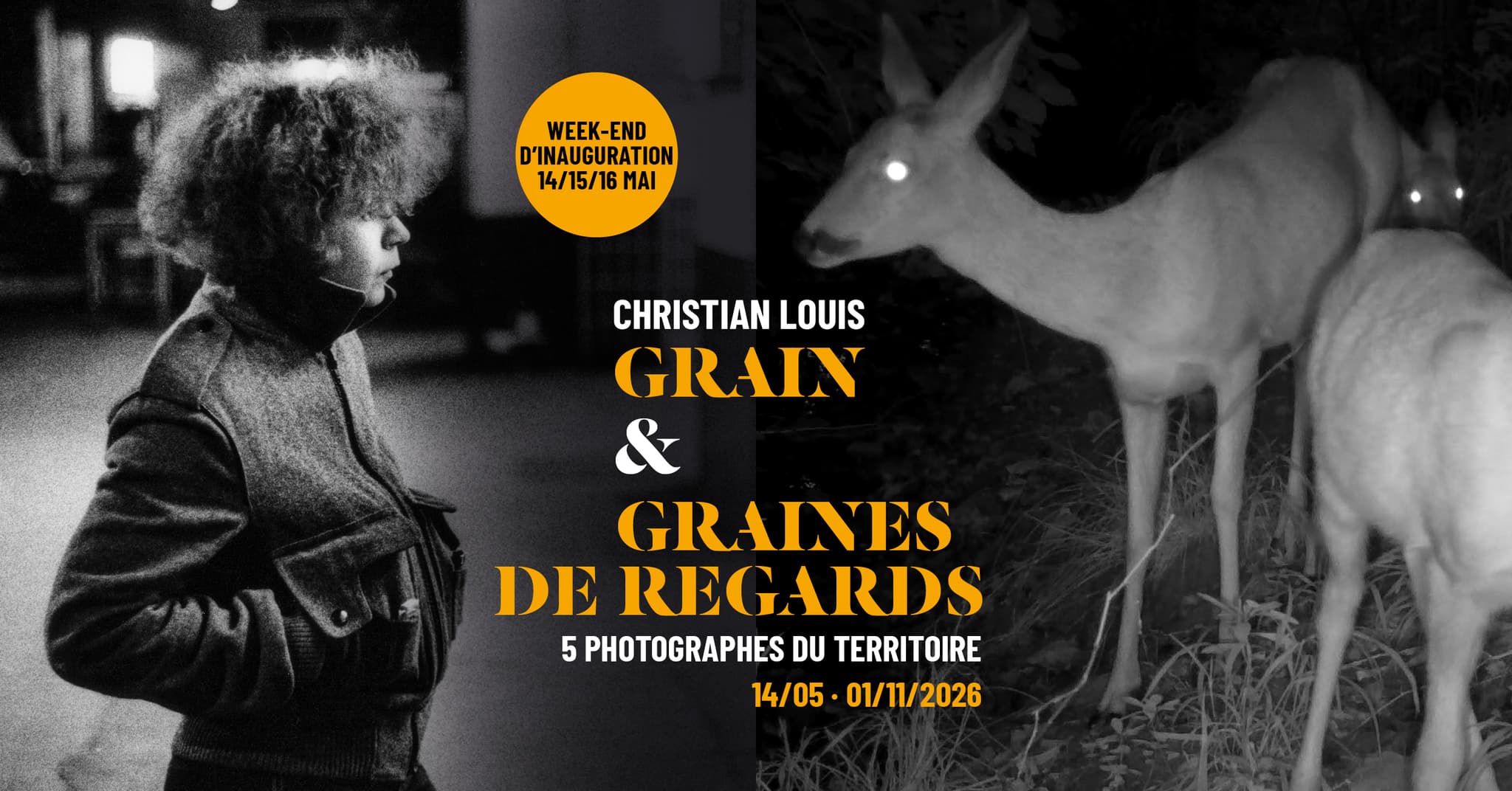 grain-visuel-web