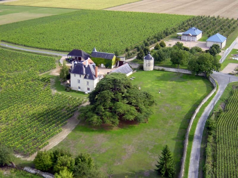 Château de la Bonnelière - Plouzeau