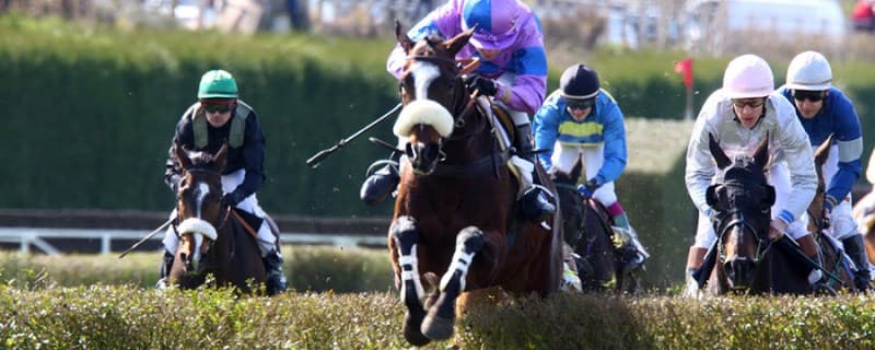 hippodrome-ile-arrault