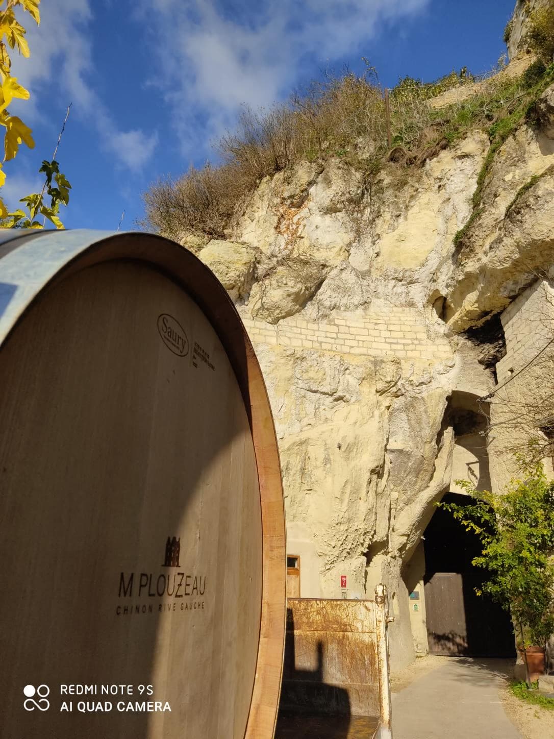 Cave Plouzeau - Chinon