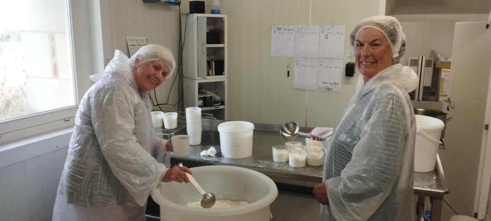 immersion fromagerie