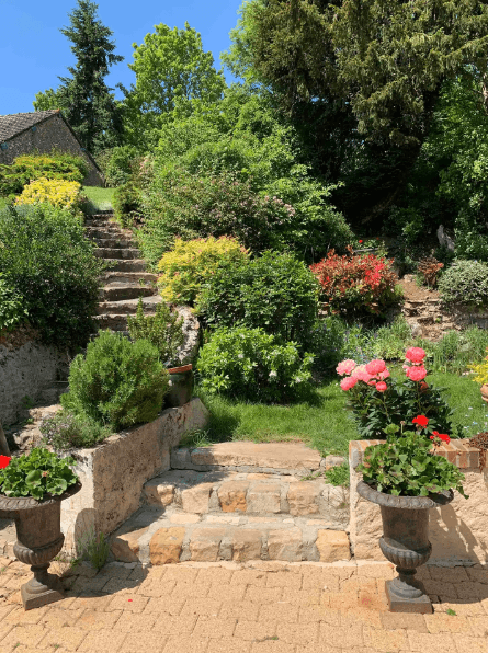 jardin