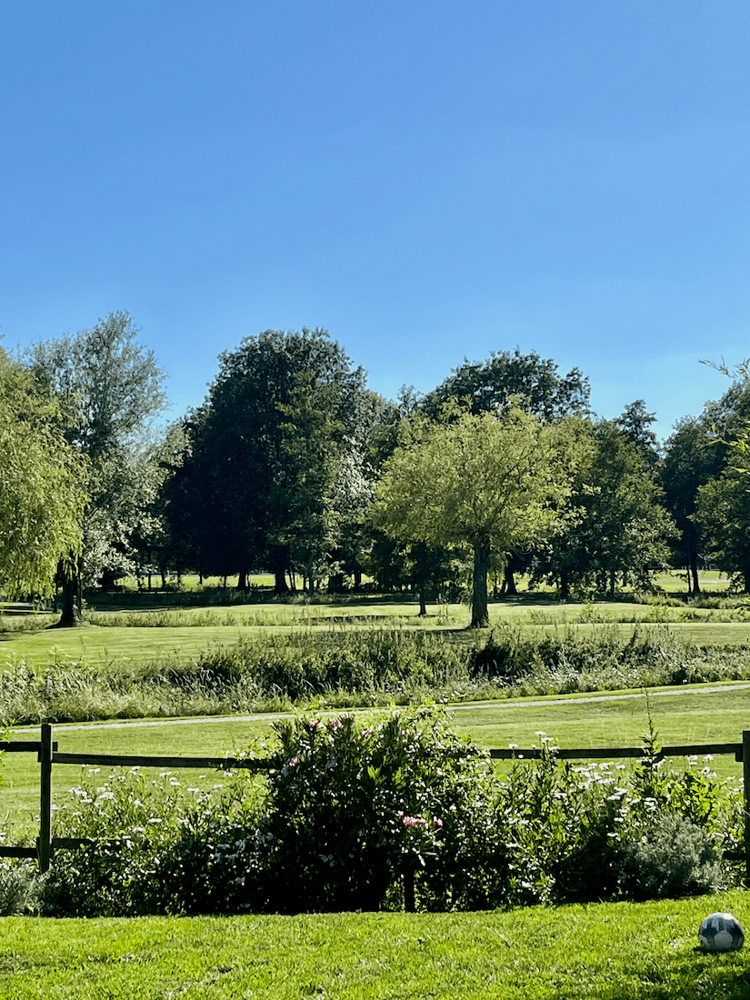 jardin