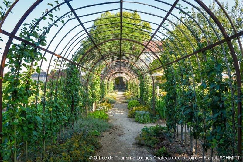 jardin-curé-arche-chédigny-loches-valdeloire