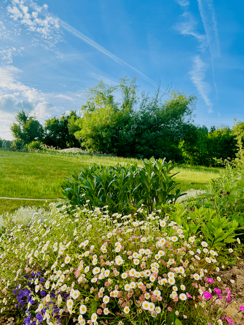 jardin-fleuri