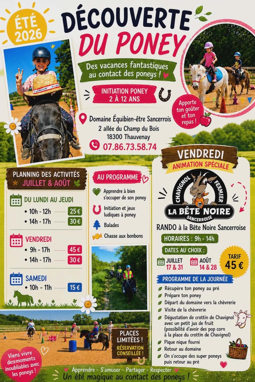 juil aout decouverte ponney thauvenay