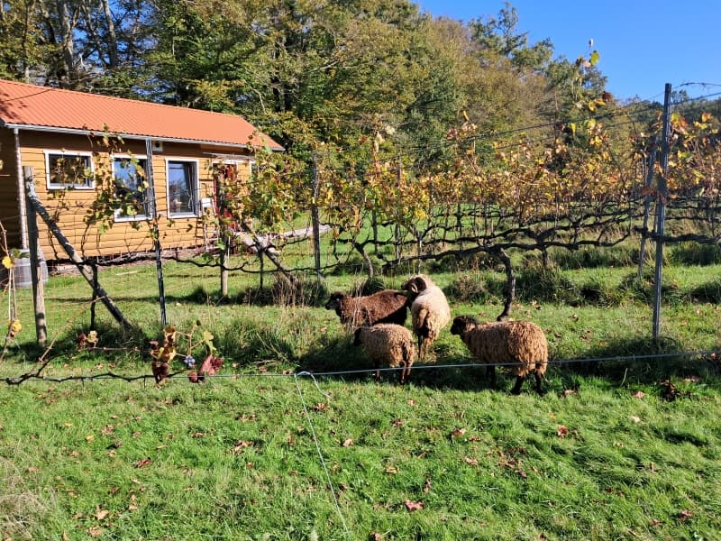 la barre 3