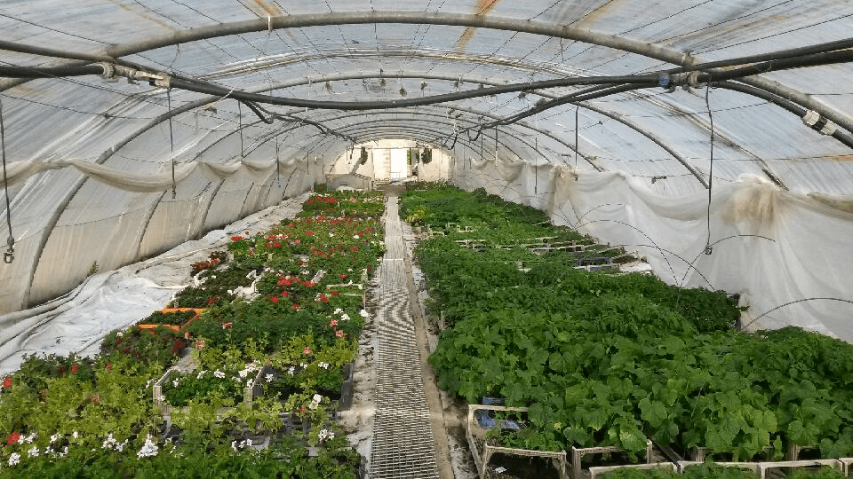 Ferme de la Brouaze