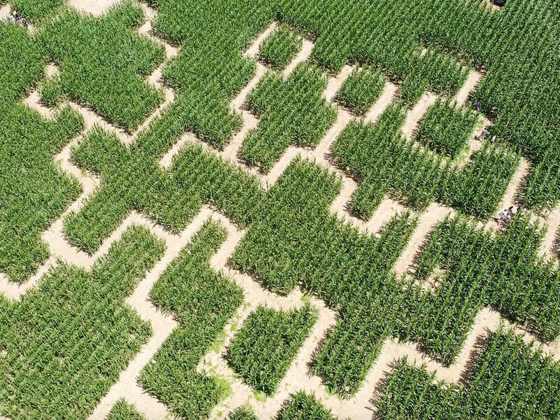 Labyrinthe magique - Champ de maïs d'Azay-sur-Cher