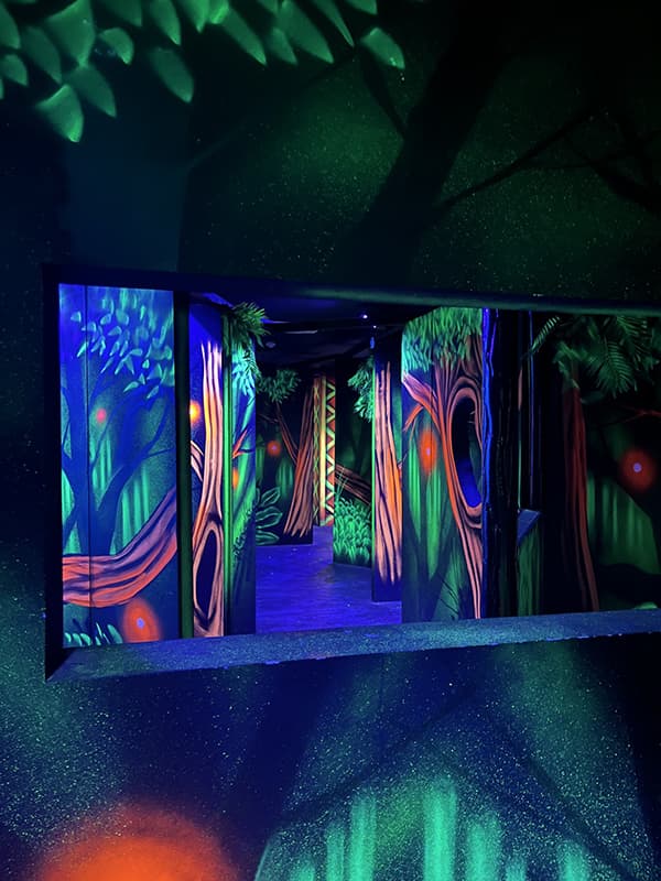 Laser Game Monky Châteauroux