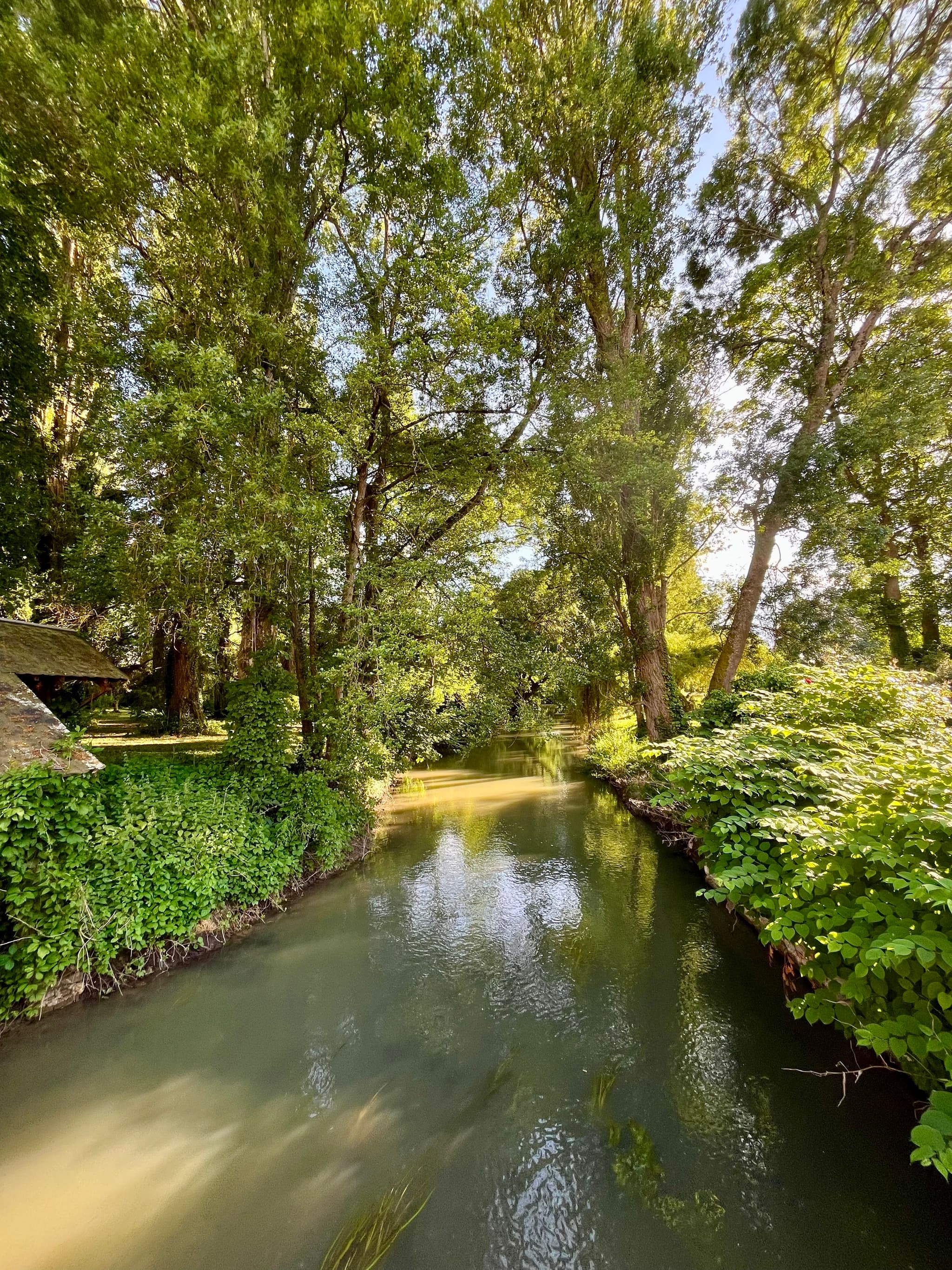 le bief du moulin