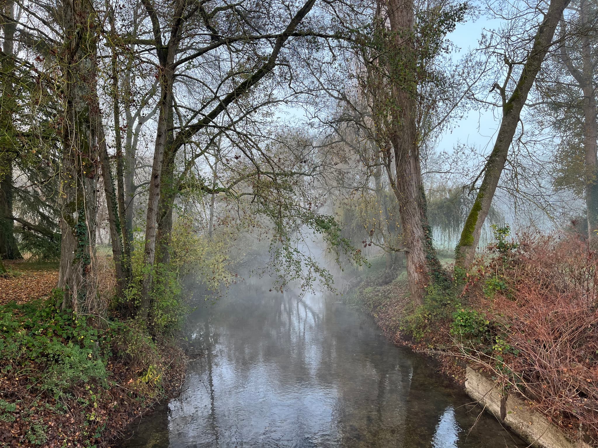 le bief en automne