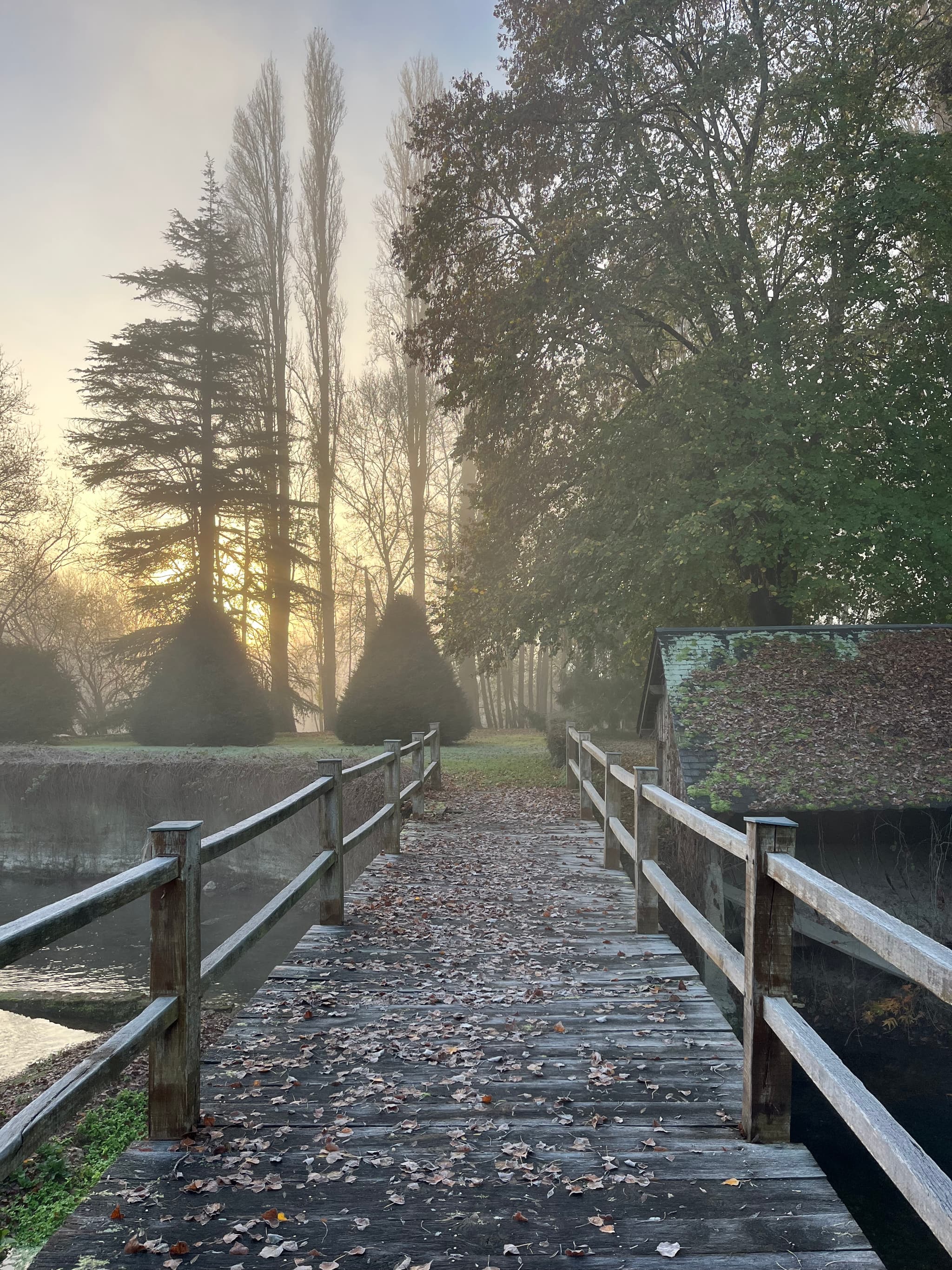le pont en automne