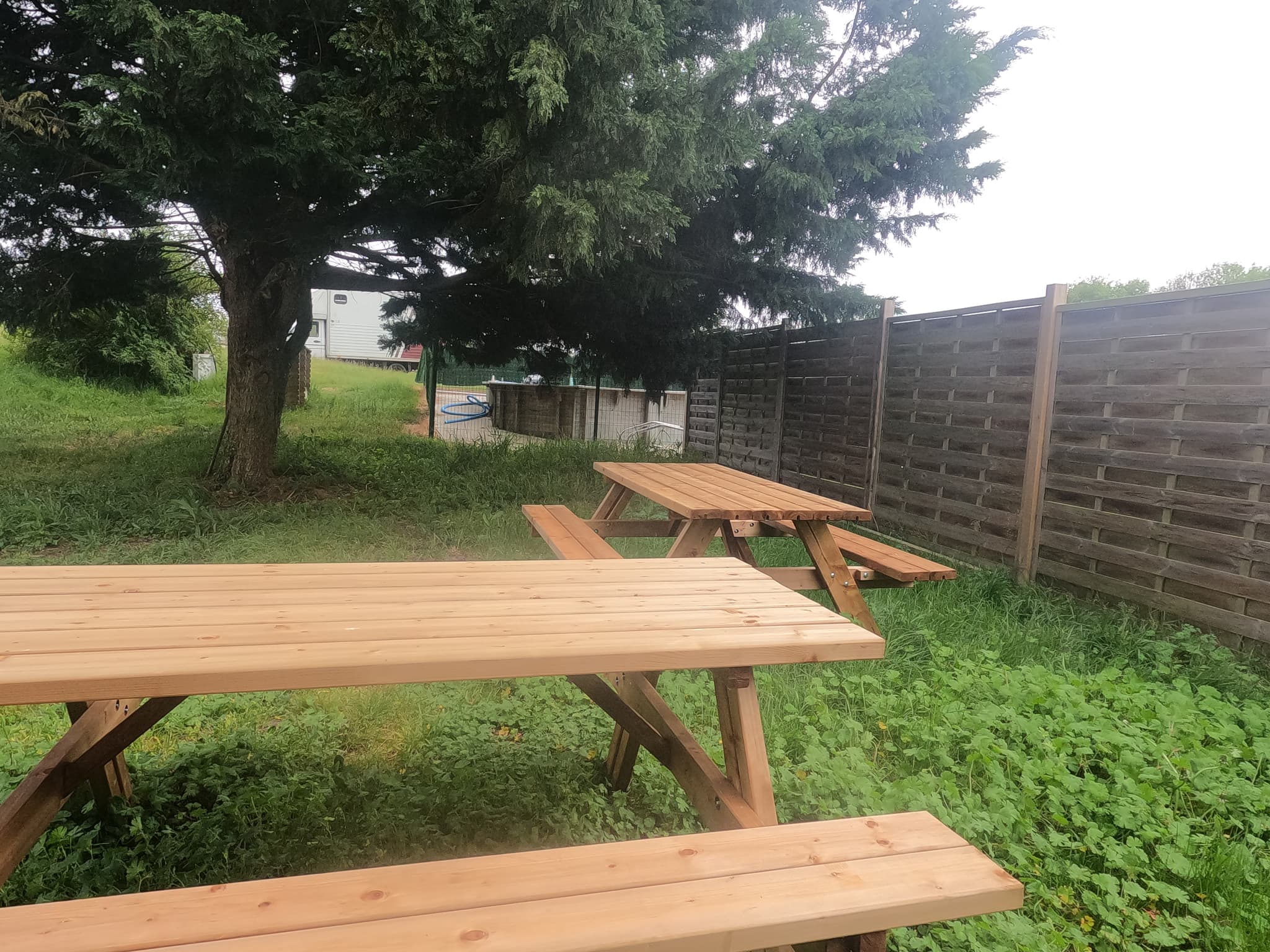 Les crins de la martinière