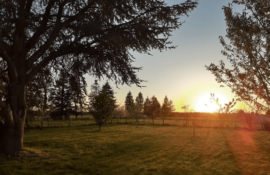 les logeries soleil